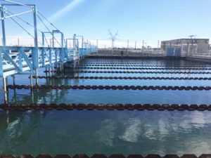 NTMWD Wylie WWTP Expansion