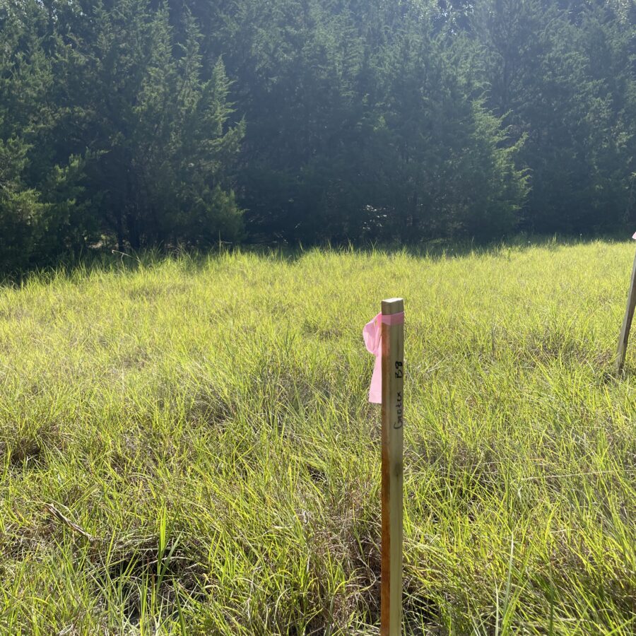 What’s Beneath Your Data Center Site?