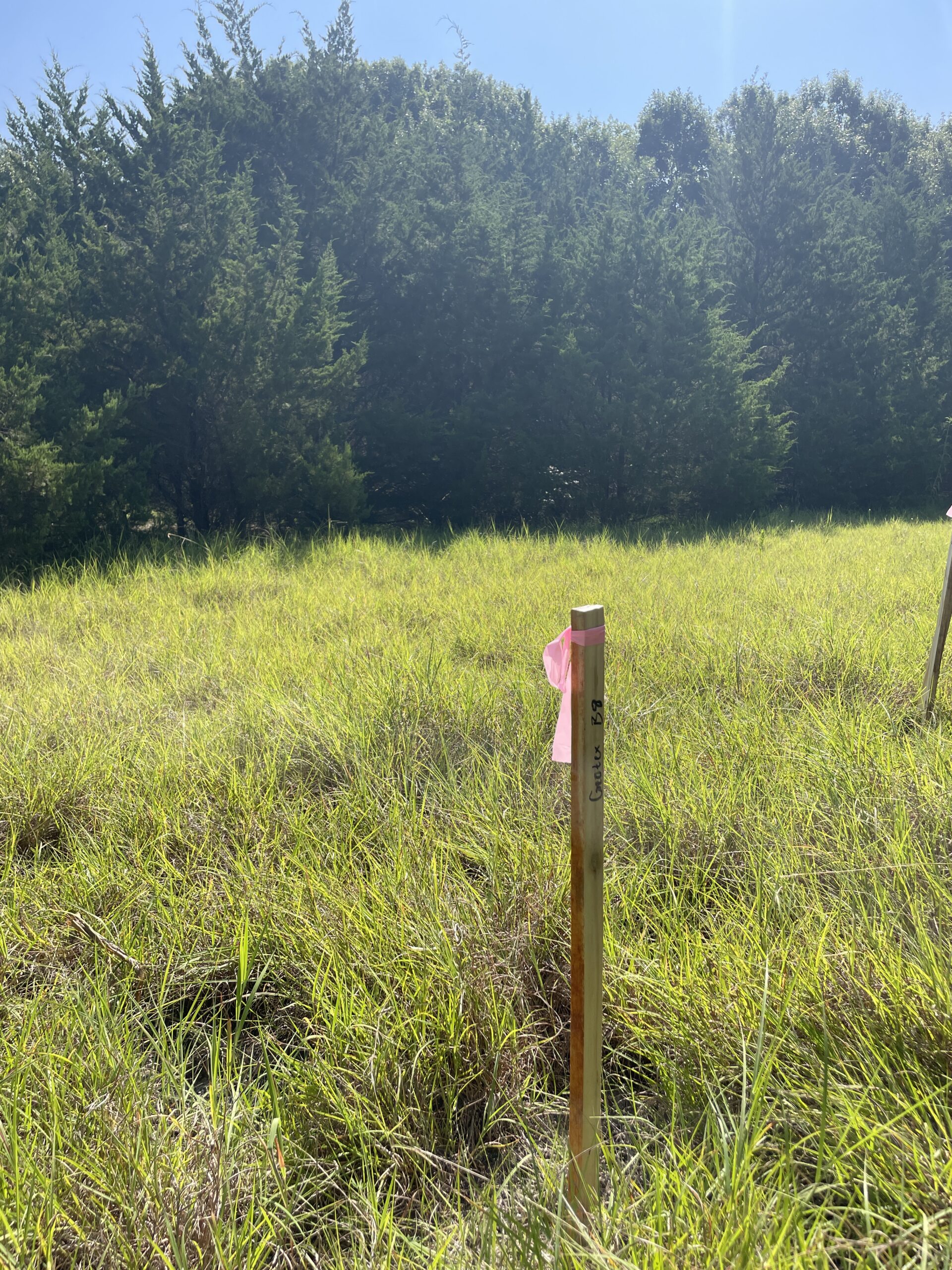 What’s Beneath Your Data Center Site?